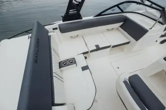 Thumbnail von Bayliner D20I