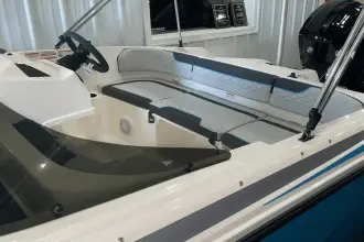 Thumbnail von Bayliner Element M17