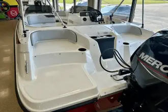 Thumbnail von Bayliner Element M17