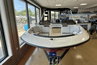 Thumbnail von Bayliner Element M17