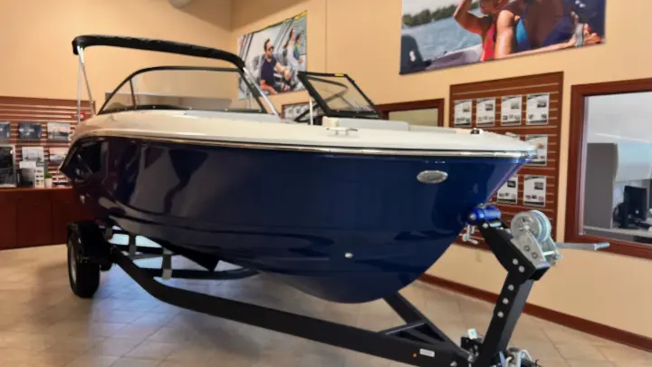 Bayliner D20I