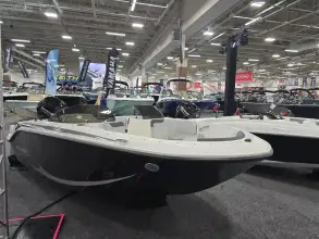 Thumbnail von Bayliner Element M17