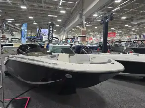Thumbnail von Bayliner Element M17