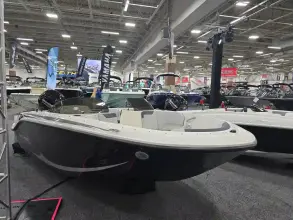 Thumbnail von Bayliner Element M17