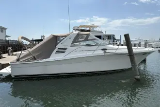 Thumbnail von Sea Ray 330 Express Cruiser