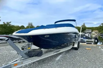 Thumbnail von Sea Ray 240 Sundeck OB