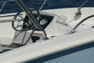 Thumbnail von Boston Whaler 160 Super Sport