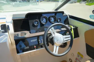 Thumbnail von Sea Ray SDX 250