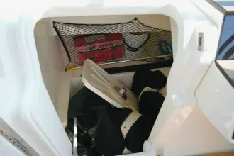 Thumbnail von Sea Ray SDX 250