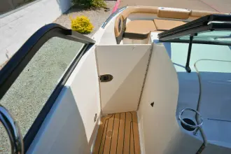 Thumbnail von Sea Ray SDX 250