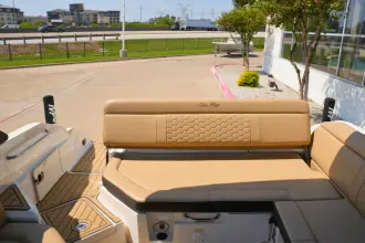 Thumbnail von Sea Ray SDX 250