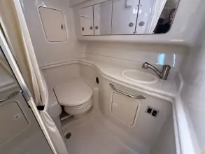 Thumbnail von Sea Ray 320 Sundancer