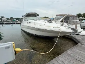 Thumbnail von Sea Ray 320 Sundancer