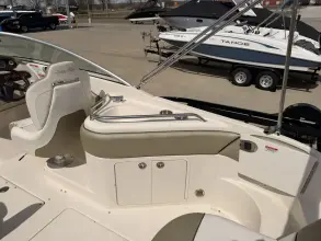 Thumbnail von Sea Ray 240 Sundeck