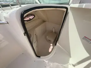 Thumbnail von Sea Ray 240 Sundeck