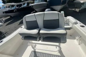 Thumbnail von Tidewater Boats 210 LXF