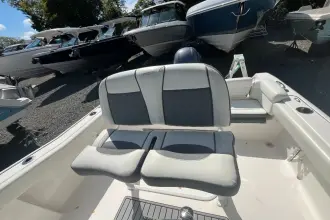 Thumbnail von Tidewater Boats 210 LXF