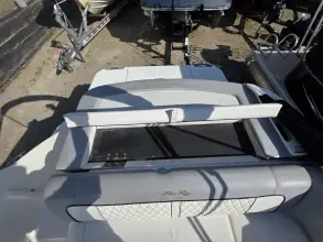 Thumbnail von Sea Ray SDX 220