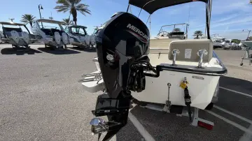 Thumbnail von Boston Whaler 170 Montauk