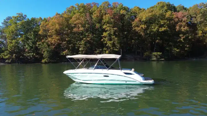 Sea Ray SDX 250