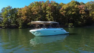 Thumbnail von Sea Ray SDX 250