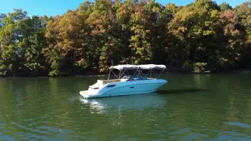 Thumbnail von Sea Ray SDX 250