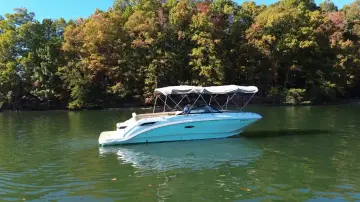 Thumbnail von Sea Ray SDX 250