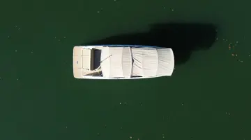 Thumbnail von Sea Ray SDX 250