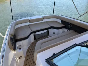Thumbnail von Sea Ray SDX 250