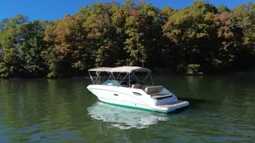 Thumbnail von Sea Ray SDX 250