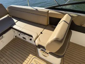Thumbnail von Sea Ray SDX 250