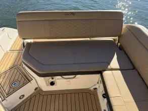 Thumbnail von Sea Ray SDX 250