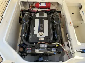 Thumbnail von Sea Ray SDX 250
