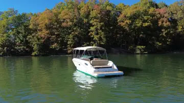 Thumbnail von Sea Ray SDX 250