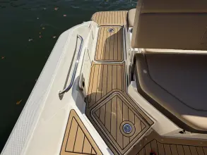 Thumbnail von Sea Ray SDX 250
