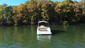 Thumbnail von Sea Ray SDX 250