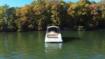 Thumbnail von Sea Ray SDX 250