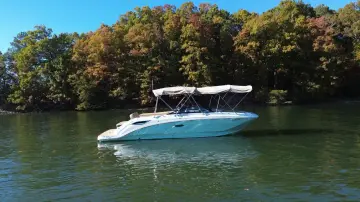 Thumbnail von Sea Ray SDX 250