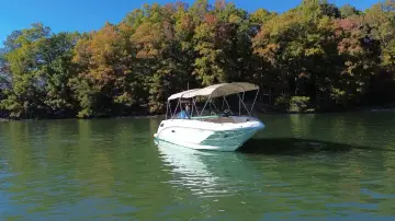 Thumbnail von Sea Ray SDX 250