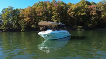 Thumbnail von Sea Ray SDX 250