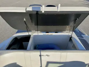 Thumbnail von Sea Ray SPX 210 Outboard