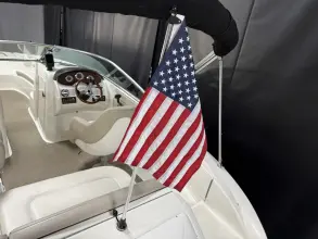 Thumbnail von Sea Ray 200 Sundeck