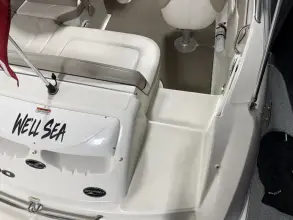 Thumbnail von Sea Ray 200 Sundeck