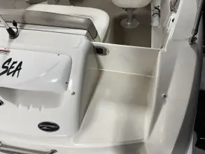 Thumbnail von Sea Ray 200 Sundeck