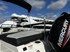 Thumbnail von Sea Ray SPX 210 Outboard
