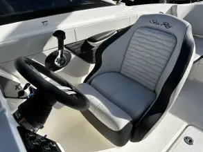 Thumbnail von Sea Ray SPX 210 Outboard