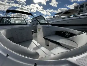 Thumbnail von Sea Ray SPX 210 Outboard