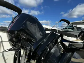 Thumbnail von Sea Ray SPX 210 Outboard