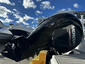 Thumbnail von Sea Ray SPX 210 Outboard