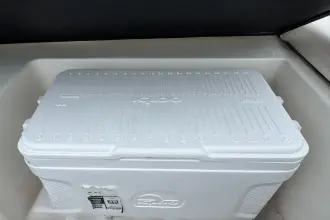 Thumbnail von Sea Ray SPX 210 Outboard